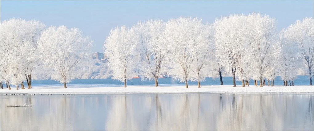 Obraz zimnej krajiny (120x50 cm)