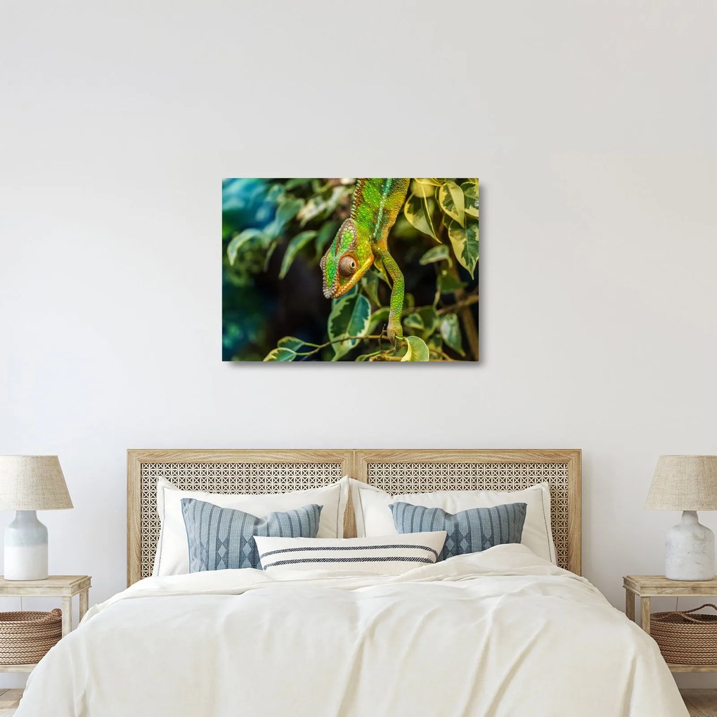 Sklenený obraz chameleóna (70x50 cm)