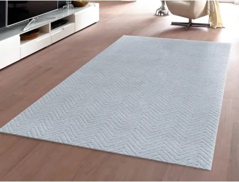 Koberec Relax 120x170 cm, strieborný%