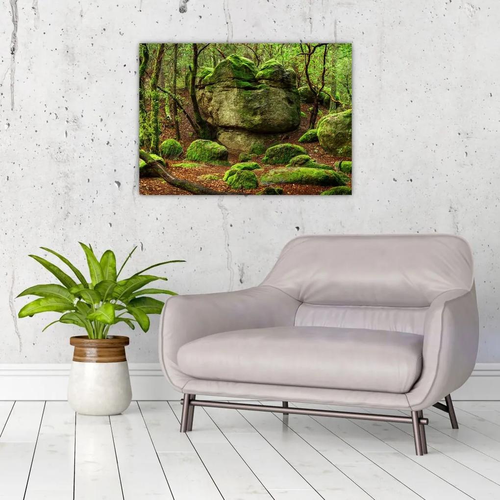 Sklenený obraz čarovného lesa (70x50 cm)