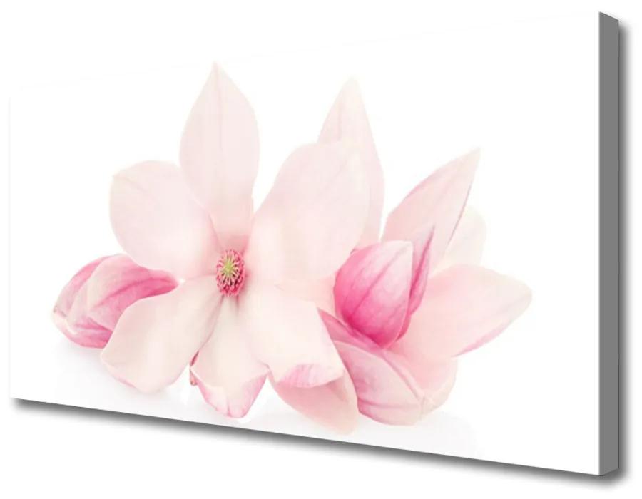 Obraz Canvas Kvety plátky rastlina príroda 100x50 cm