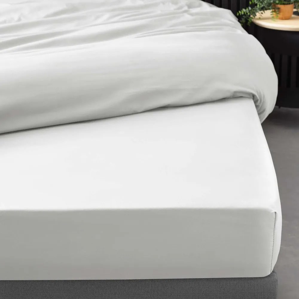 Biela napínacia plachta z bavlneného perkálu 90x190 cm Percaline – douceur d'intérieur