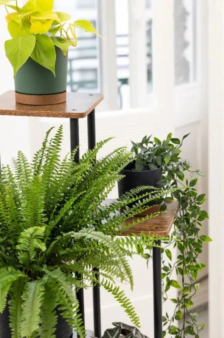 Stojan na kvety PALACE čierny