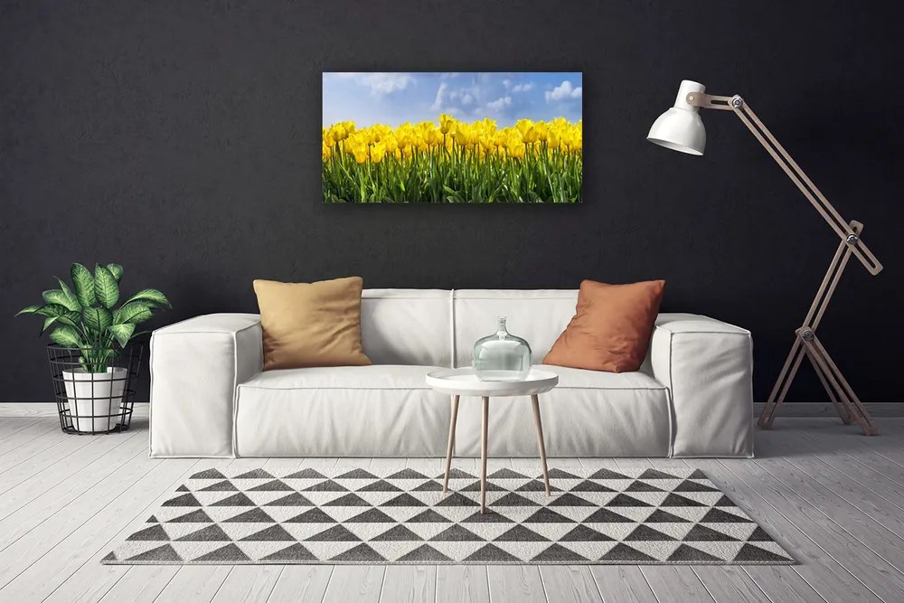 Obraz Canvas Tulipány kvety rastlina 120x60 cm