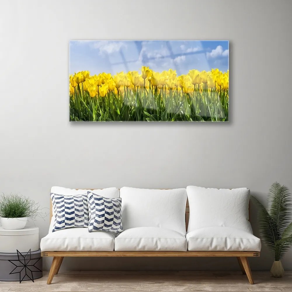 Skleneny obraz Tulipány kvety rastlina 120x60 cm