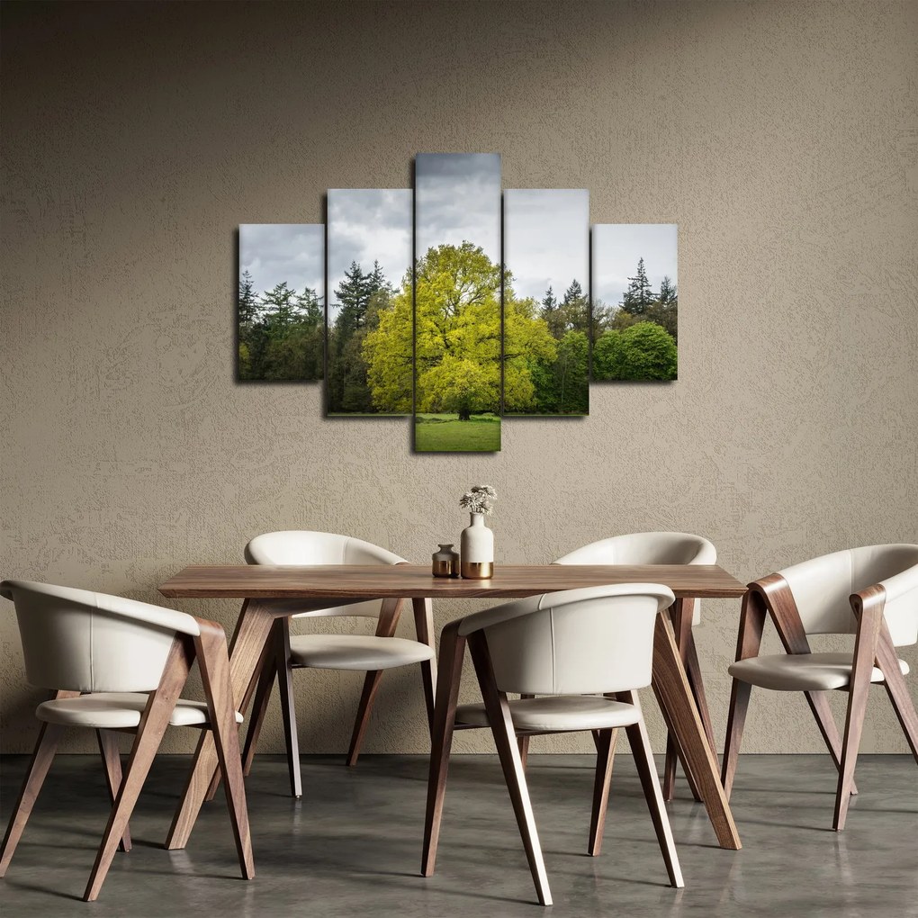 Obraz zeleného stromu uprostred poľa (150x105 cm)