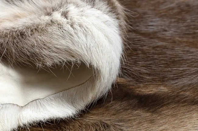 Koberec RENIFER POK008 PREMIUM hnedý / béžový