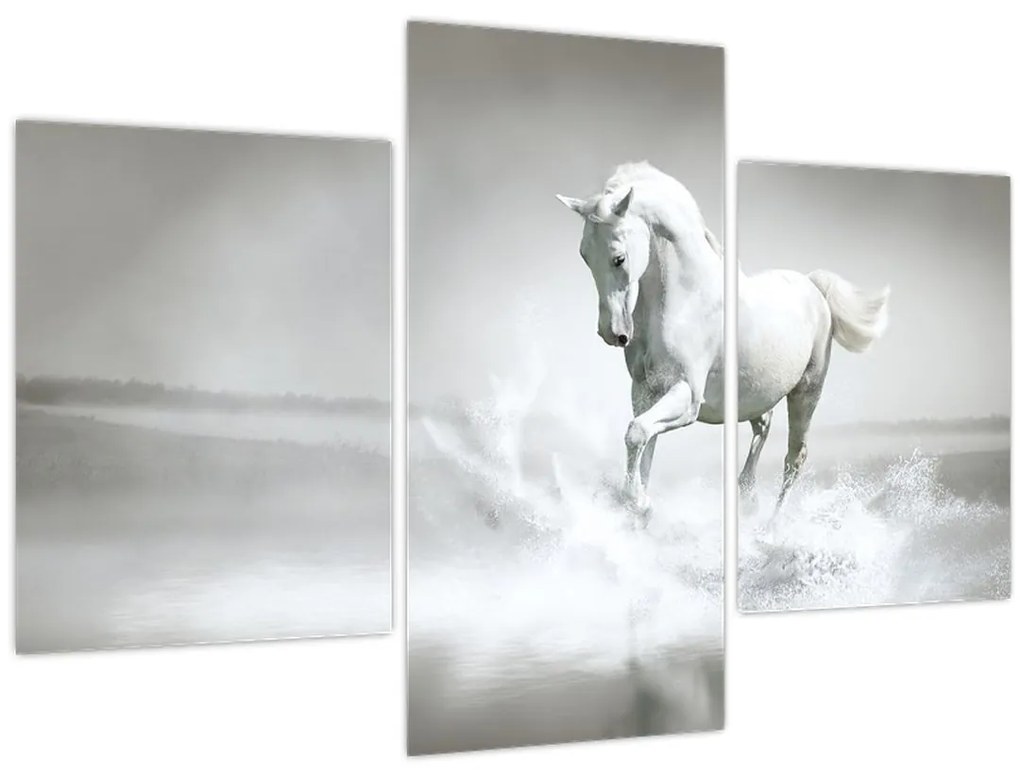 Obraz - Biely kôň (90x60 cm)