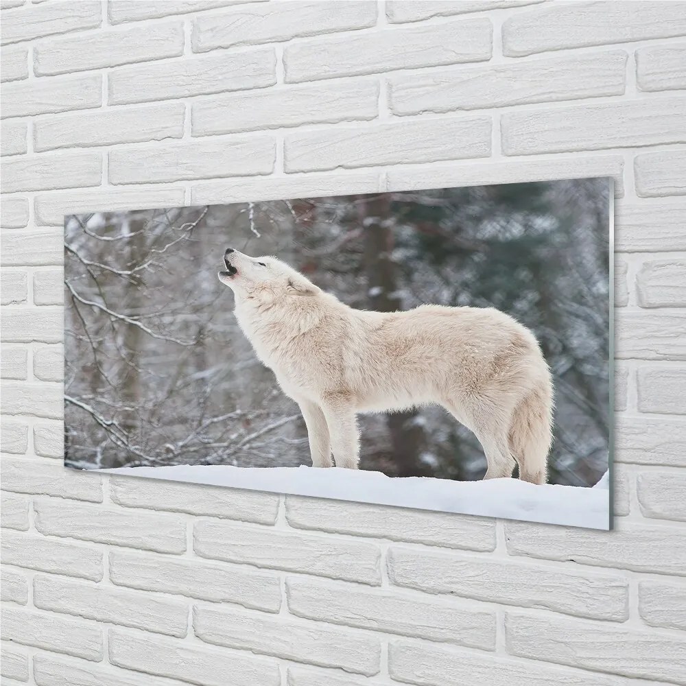 Sklenený obraz Vlk v zime lese 100x50 cm