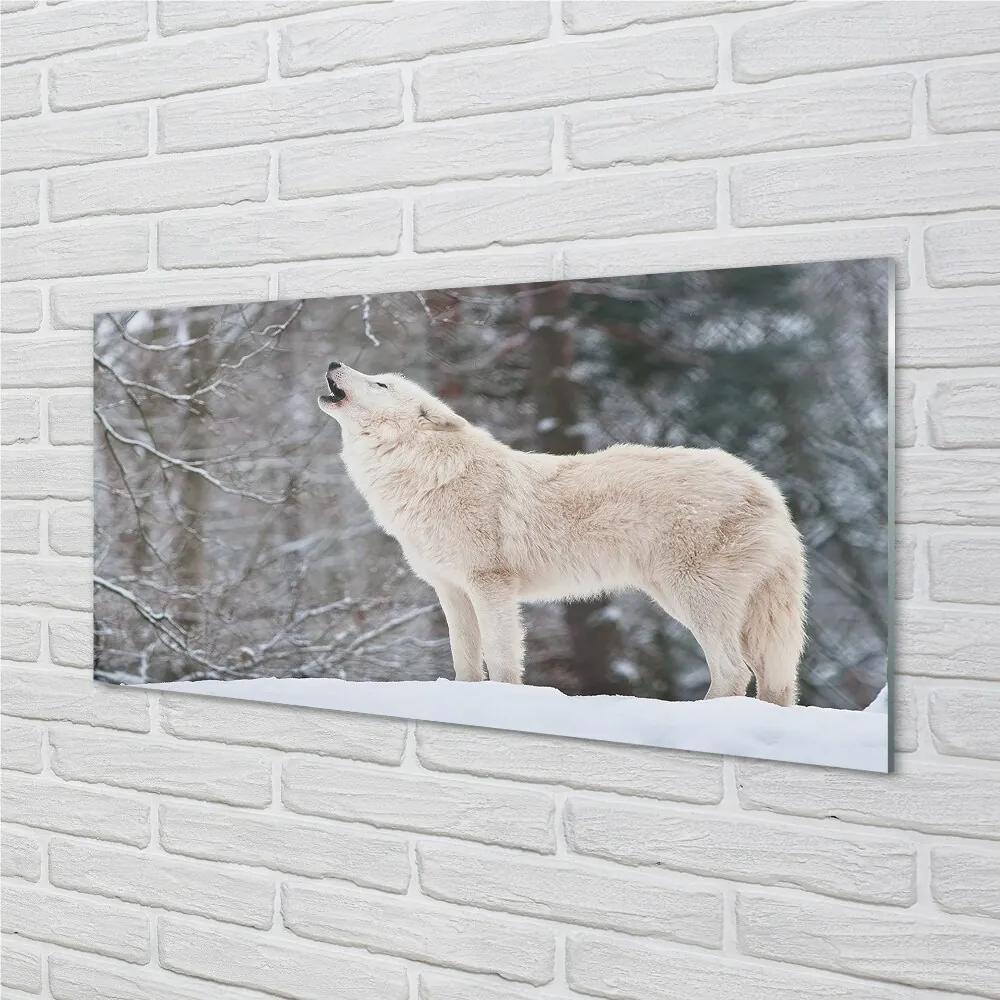 Sklenený obraz Vlk v zime lese 120x60 cm