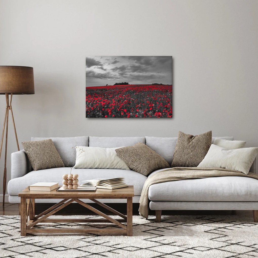 Obraz vlčích makov (70x50 cm)