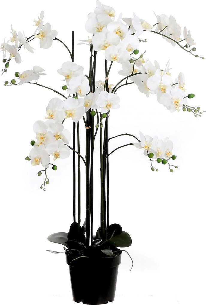 XXXLutz ORCHIDEA 117 cm - Kvety & kvetináče - 004536028901