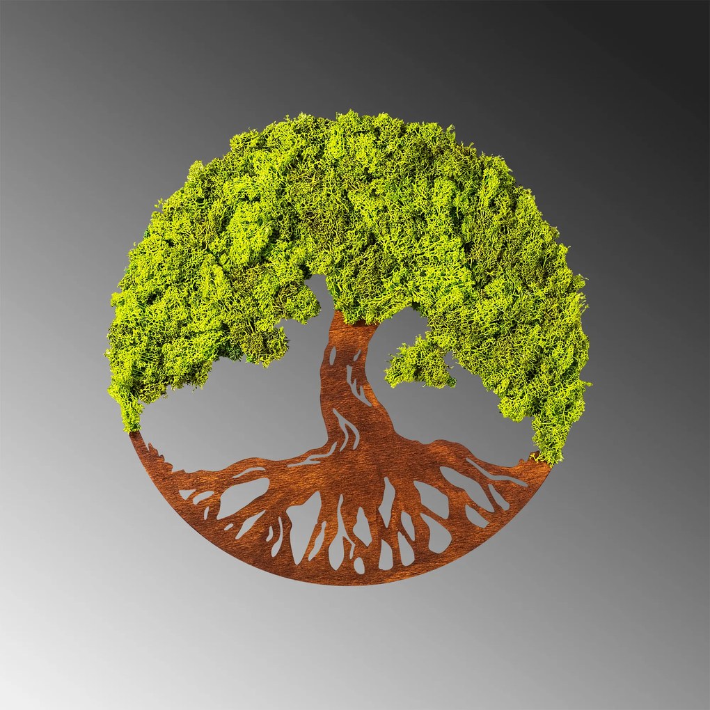 Tree Of Life 3