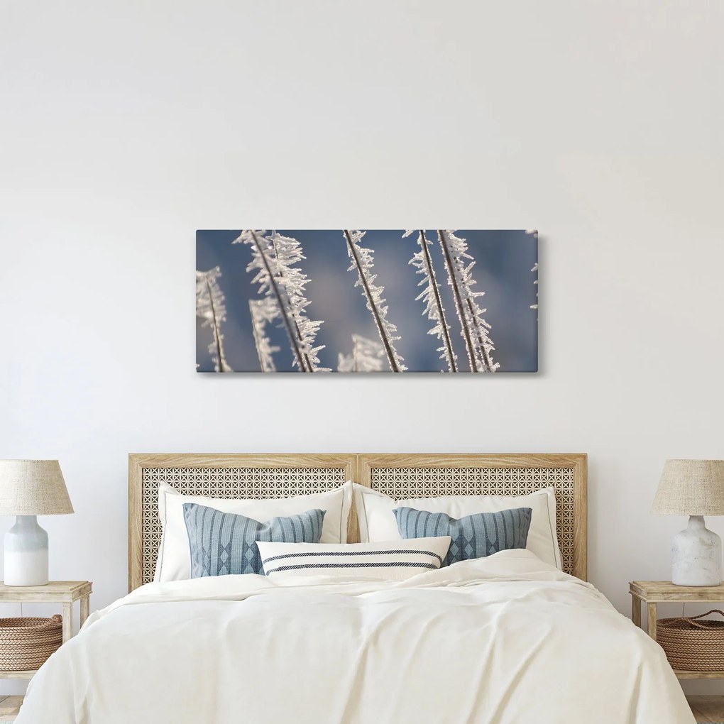 Obraz - Mrazík (120x50 cm)