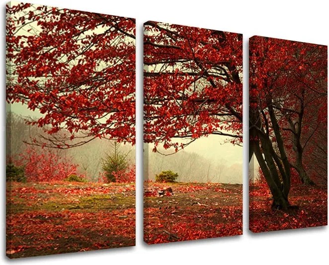 Obraz na stenu STROMY