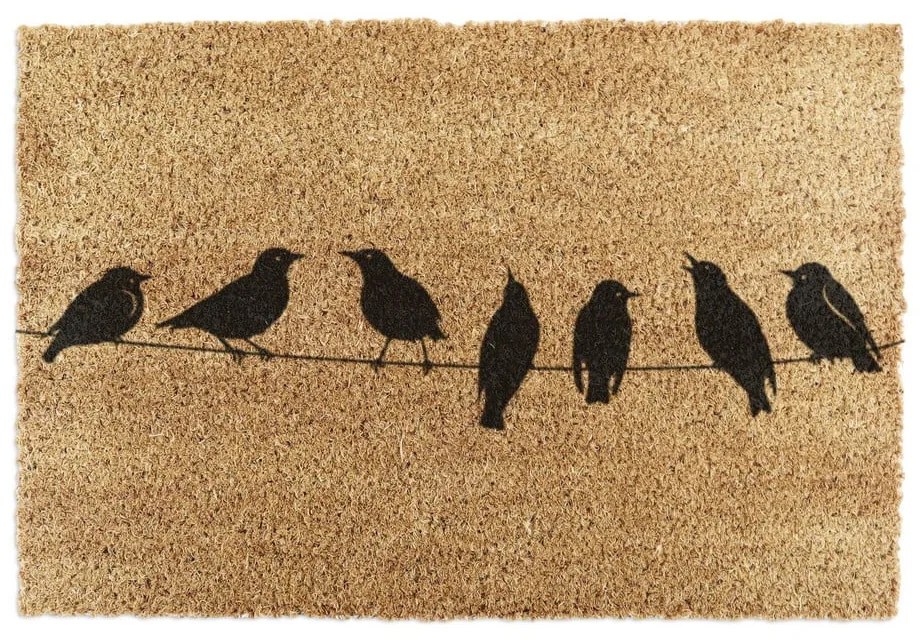 Rohožka z kokosového vlákna 60x90 cm Birds On a Wire – Artsy Doormats
