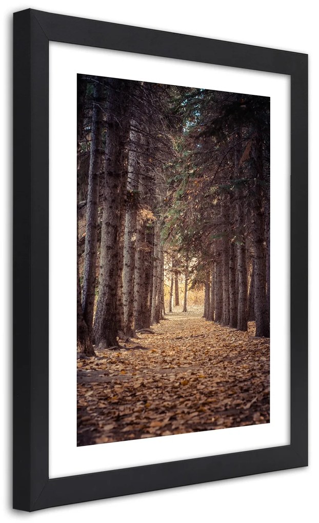 Gario Plagát Les na jeseň Farba rámu: Bez rámu, Rozmery: 30 x 45 cm