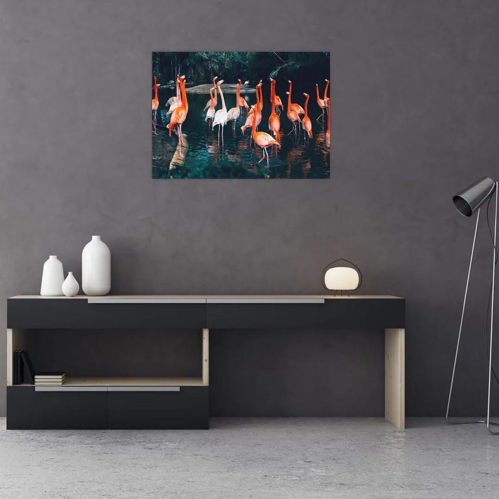Sklenený obraz stádo plameniakov (70x50 cm)