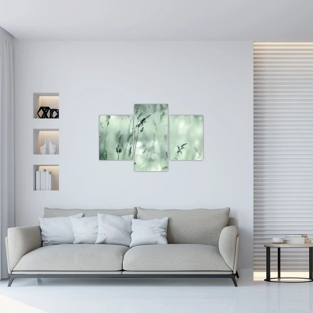 Obraz - Zelená lúka (90x60 cm)