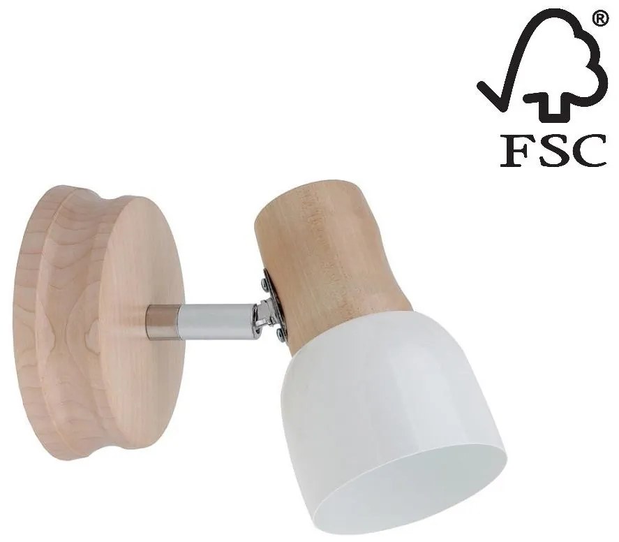 Spot-Light 2239160 - Nástenné bodové svietidlo SVANTJE 1xE14/40W/230V SP0496