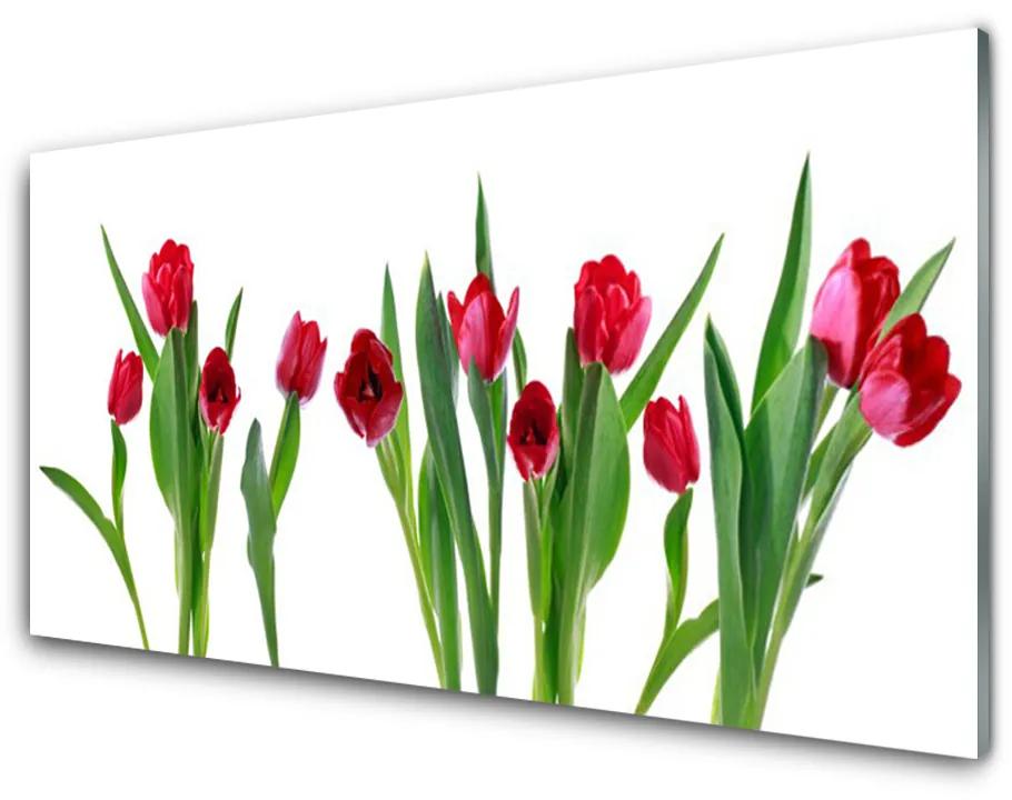 Skleneny obraz Tulipány kvety rastlina 140x70cm