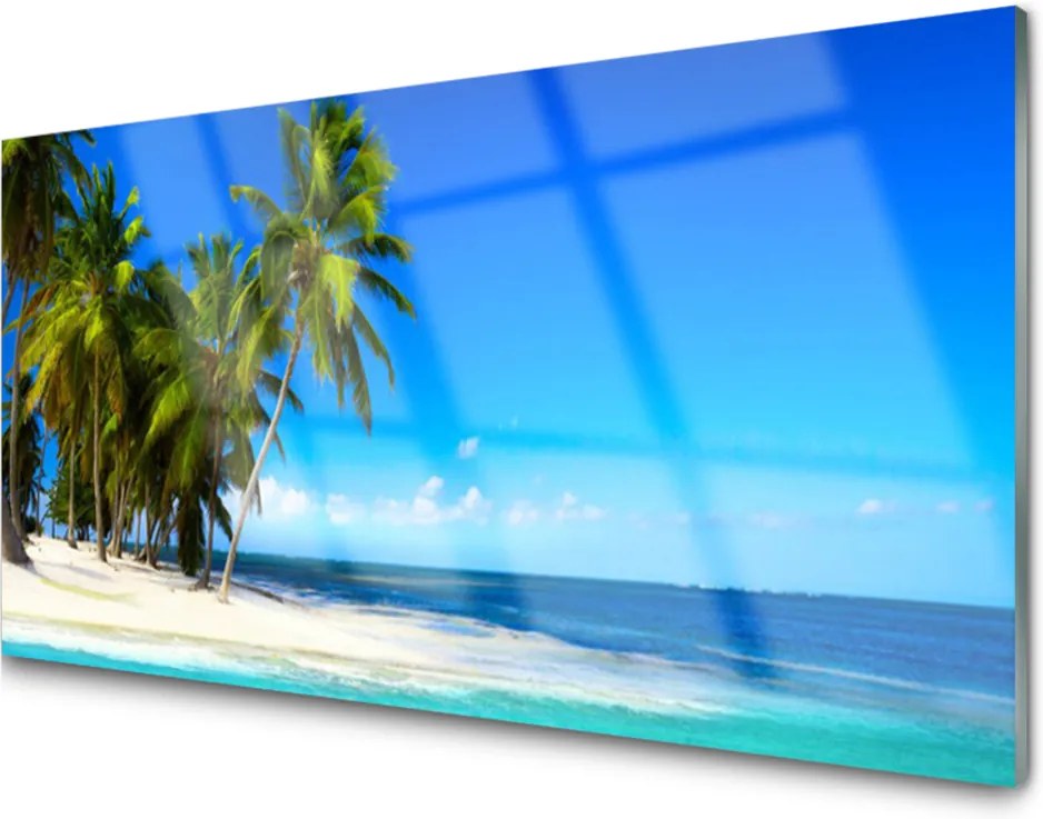 Obraz na akrylátovom skle Palma Strom More Krajina
