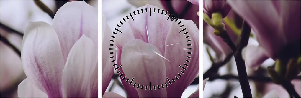 Obraz - Magnolie (s hodinami) (90x30 cm)