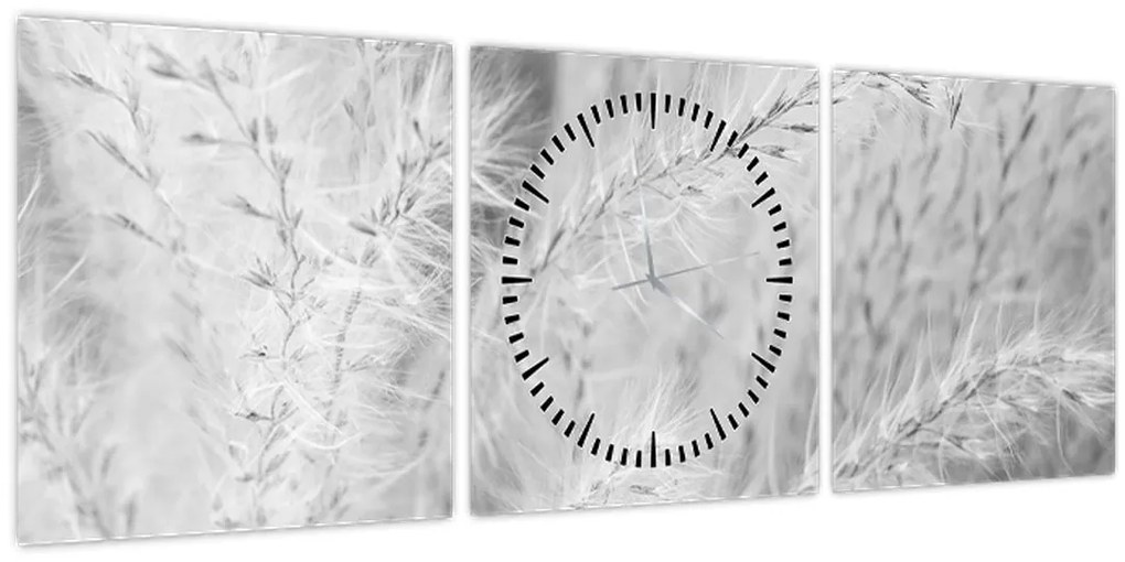 Obraz - Pampas grass N⁰1 (s hodinami) (90x30 cm)