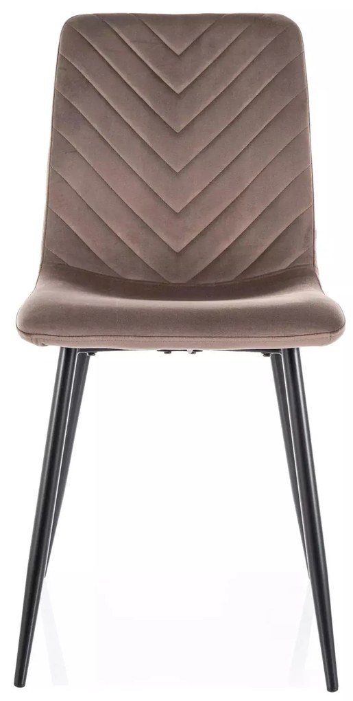 Sametová jídelní židle Daren cappuccino/černá