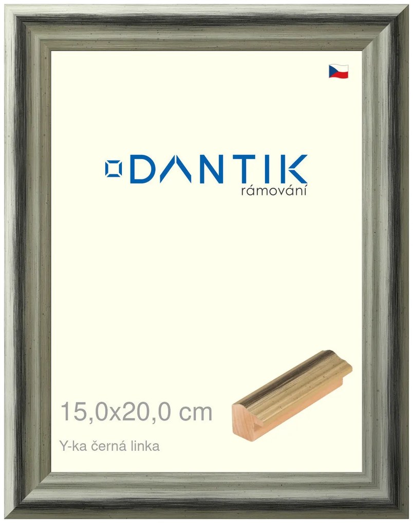 DANTIK rám na obraz 15x20 | Y-ka černá linka (Sklo Čiré)