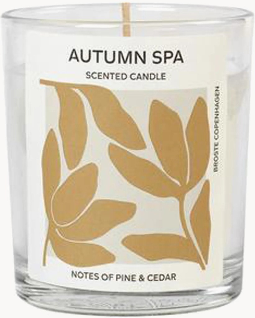 Vonná sviečka Autumn Spa (Pine & Cedar)