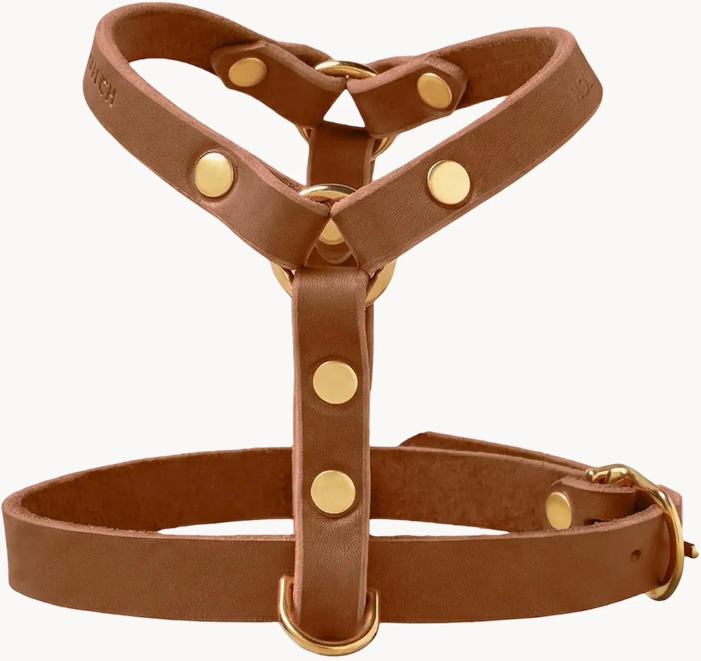 Kožený postroj pre psa Y-Harness, rôzne veľkosti