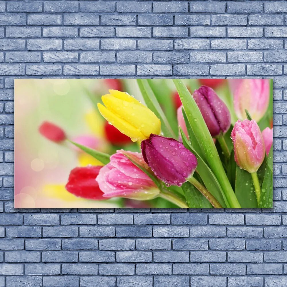 Obraz na akrylátovom skle Tulipány kvety rastlina 120x60 cm