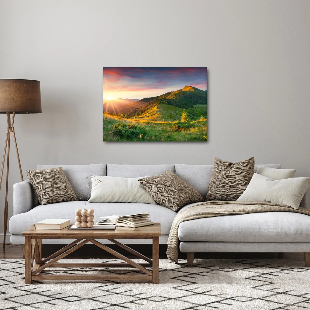 Obraz - Letná krajina (70x50 cm)
