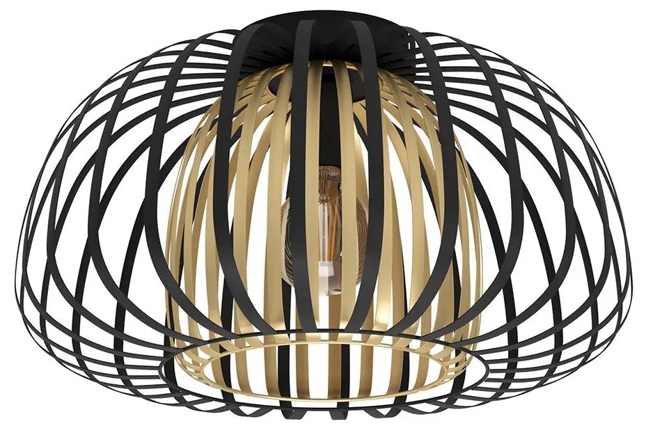 Eglo 99664 - Stropné svietidlo ENCINITOS 1xE27/40W/230V