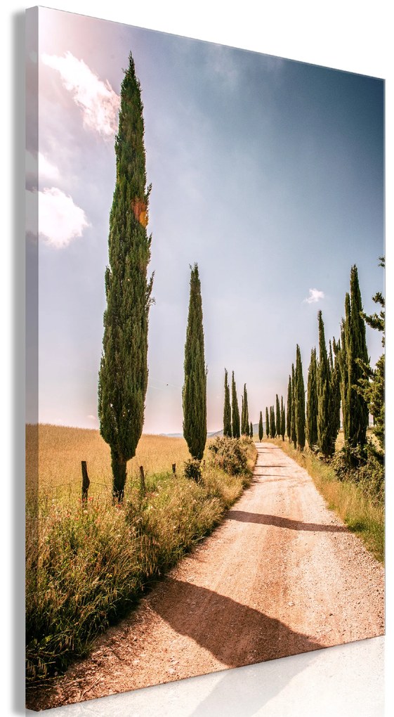 Artgeist Obraz - Italian cypresses (1 Part) Vertical Veľkosť: 60x90, Verzia: Na talianskom plátne