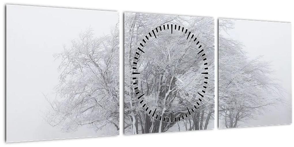 Obraz - Biela zima (s hodinami) (90x30 cm)