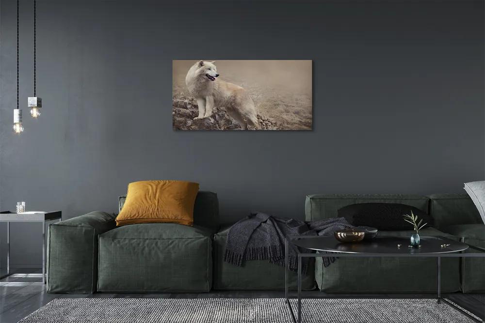 Obraz na plátne vlk hory 125x50 cm