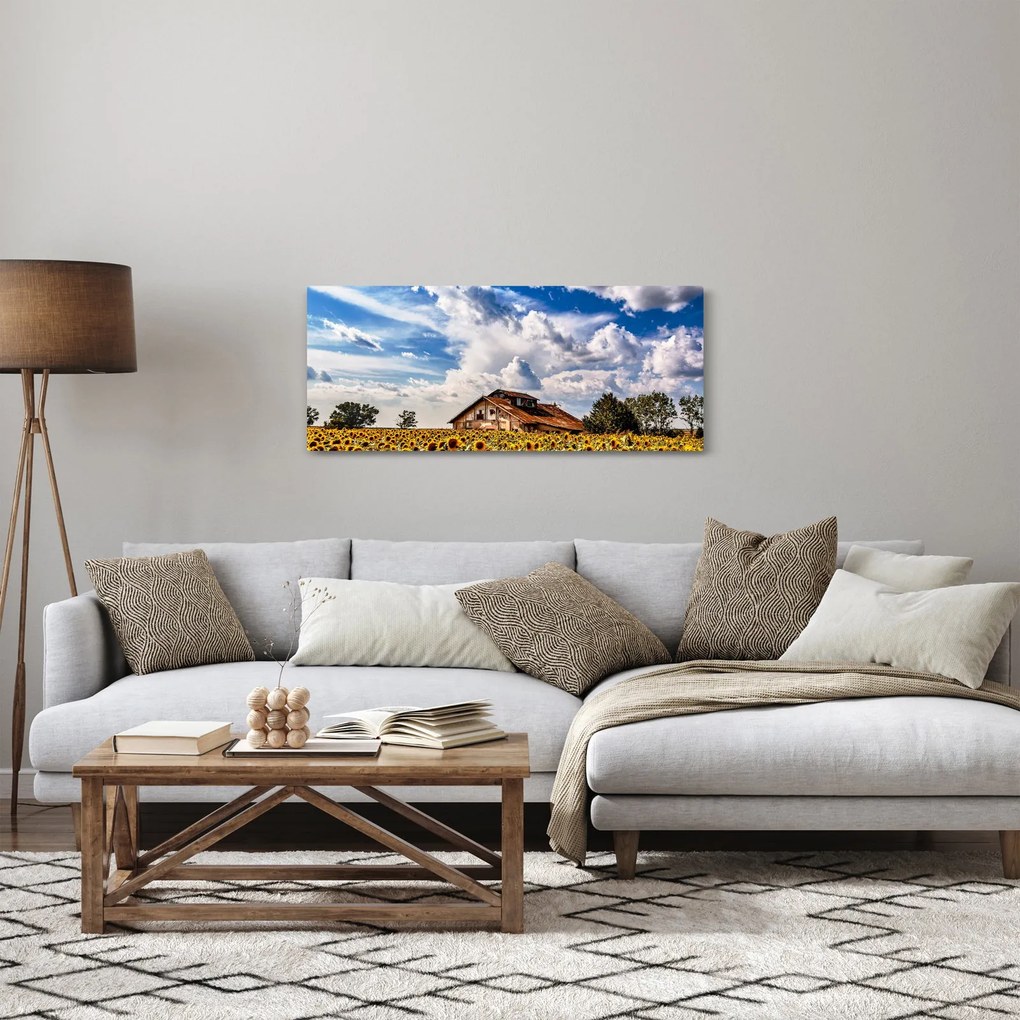 Obraz slnečnicového poľa (120x50 cm)