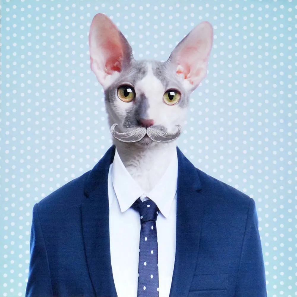 Falc Obraz na plátne - Office Cat, 40x40 cm