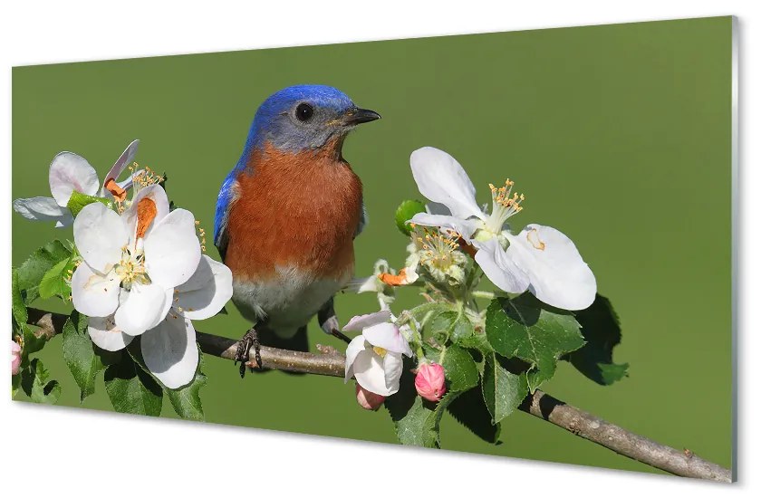 Obraz na akrylátovom skle Kvety farebné papagáj 100x50 cm