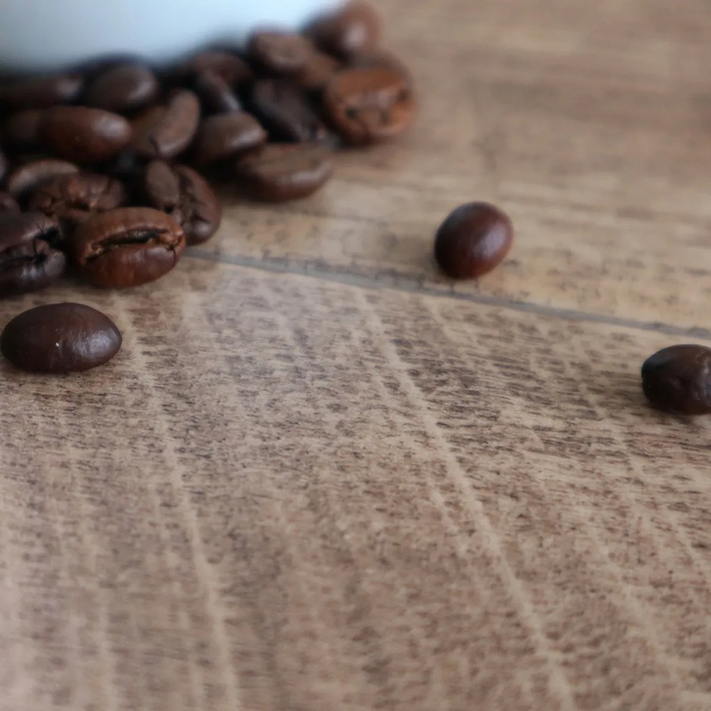 Gerflor, PVC podlaha - lino AladinTex Home 1150 Cajou, na mieru, šíře 4m, hnedá, bez podkladu, obývacia izba