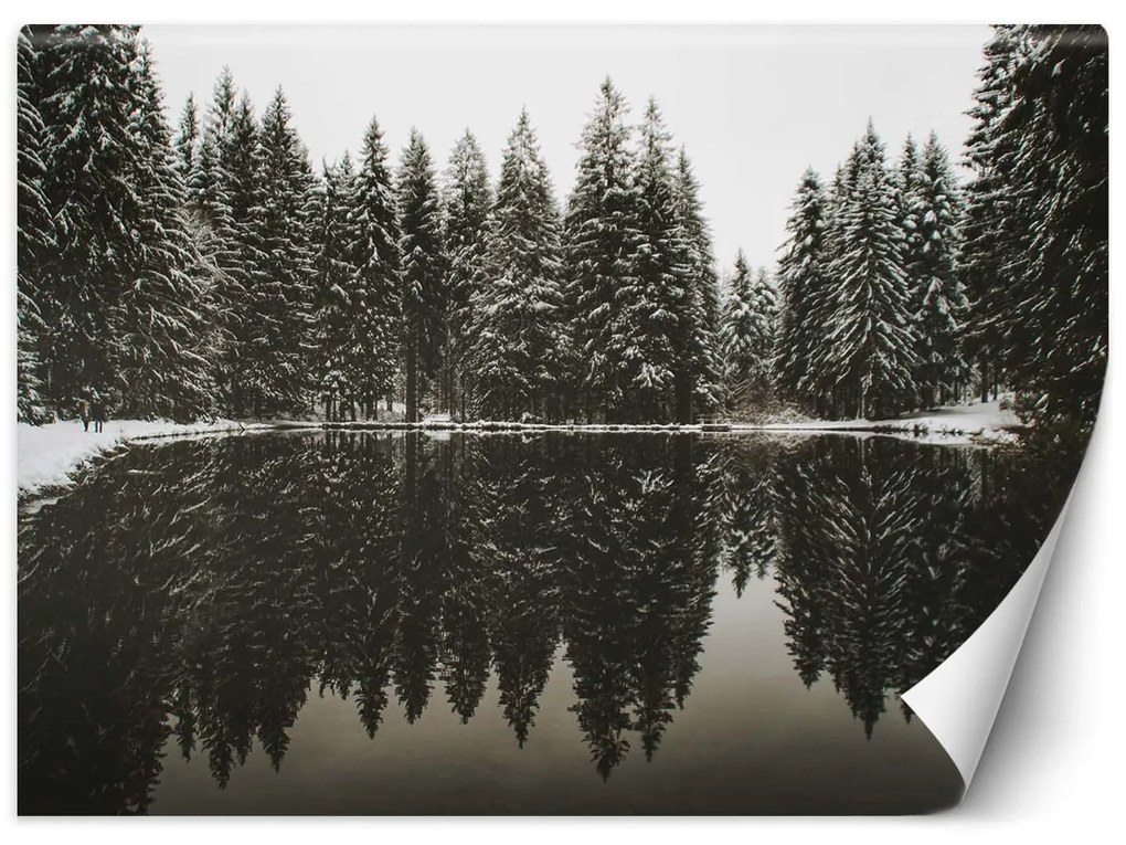Gario Fototapeta Jazero v lese v zime Materiál: Vliesová, Rozmery: 200 x 140 cm