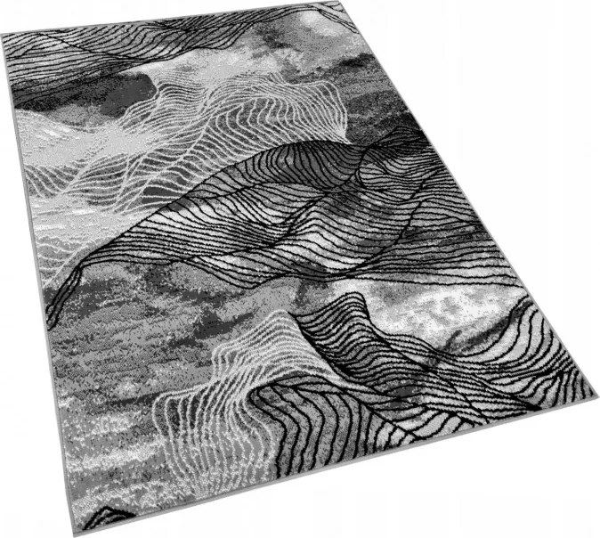 DC Koberec PP 010 sivá Rozmer: 200×300 cm