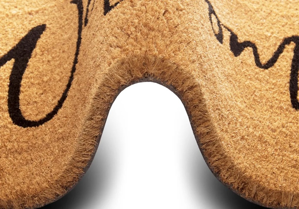 Hanse Home, Rohožka Welcome 105570 - na von aj na doma, 45x75, hnedá, chodba / predsieň