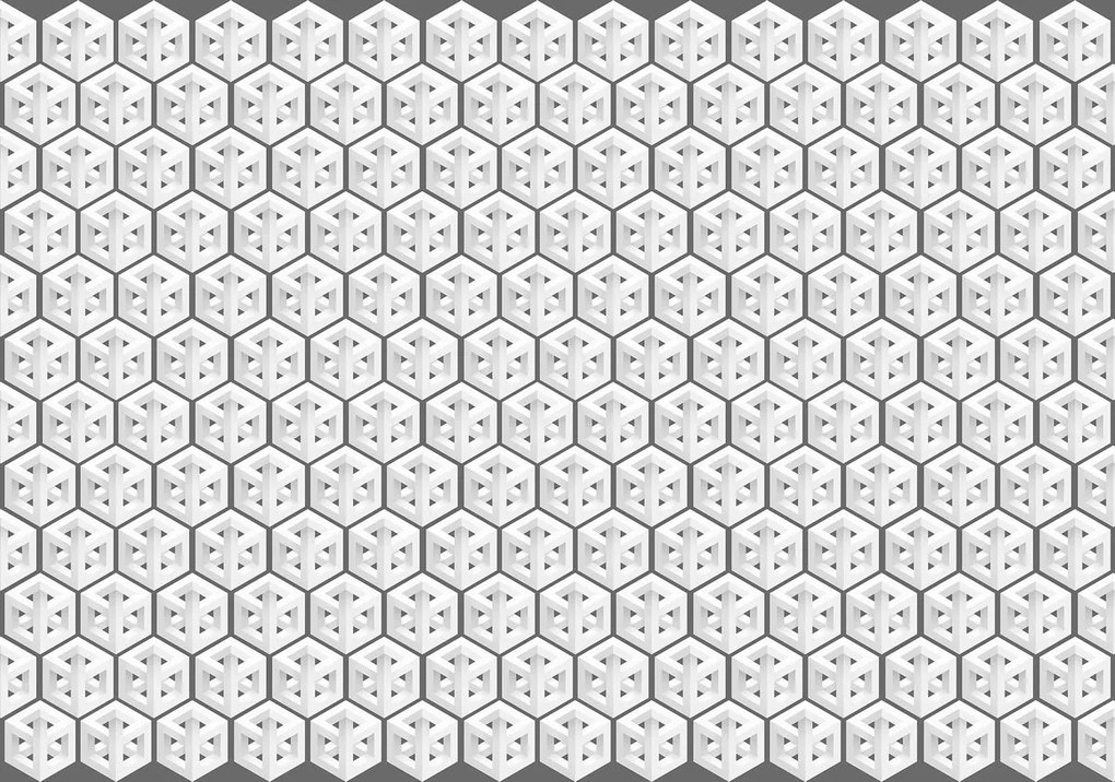 Fototapeta - Kocky (152,5x104 cm)