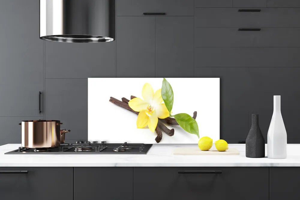 Sklenený obklad Do kuchyne Vanilka listy rastlina 100x50 cm