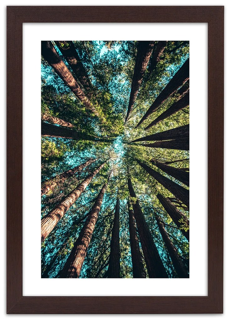 Gario Plagát Konáre vysokých stromov Farba rámu: Bez rámu, Rozmery: 40 x 60 cm