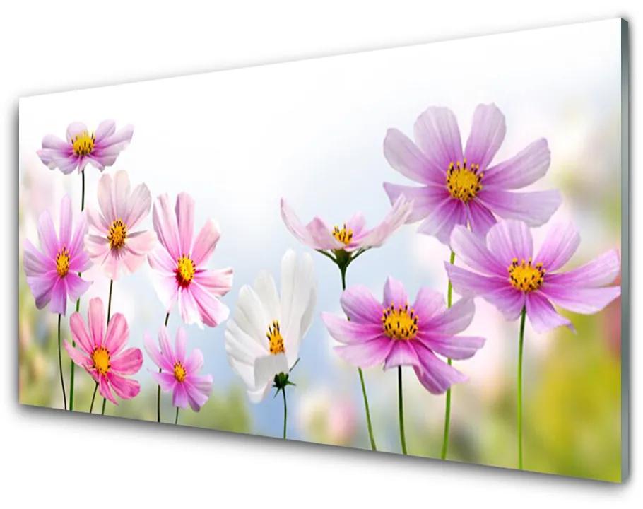 Skleneny obraz Kvety rastlina príroda 100x50cm