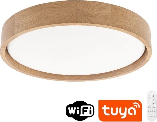BRILAGI - LED stmievateľné stropné svietidlo MANAROLA SMART LED/24W/230V pr. 41 cm + diaľkové ovládanie